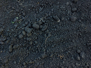 почва универсальная